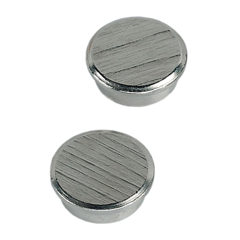 25mm neodymium magnets (pack of 2)