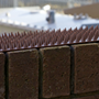 Anti-climb spikes