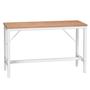 Bott Framework Benches with Multiplex Work Surface