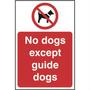 No Dogs Except Guide Dogs Sign