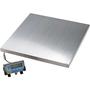 Salter Brecknell 300kg stainless steel platform industrial weighing scale