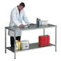 Stainless Steel Worktable with Lower Shelf