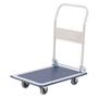 Steel Platform Trucks 170kg & 300kg