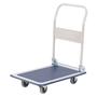 Steel Platform Trucks, 170kg & 300kg