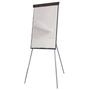 WriteOn Magnetic Flipchart Easel