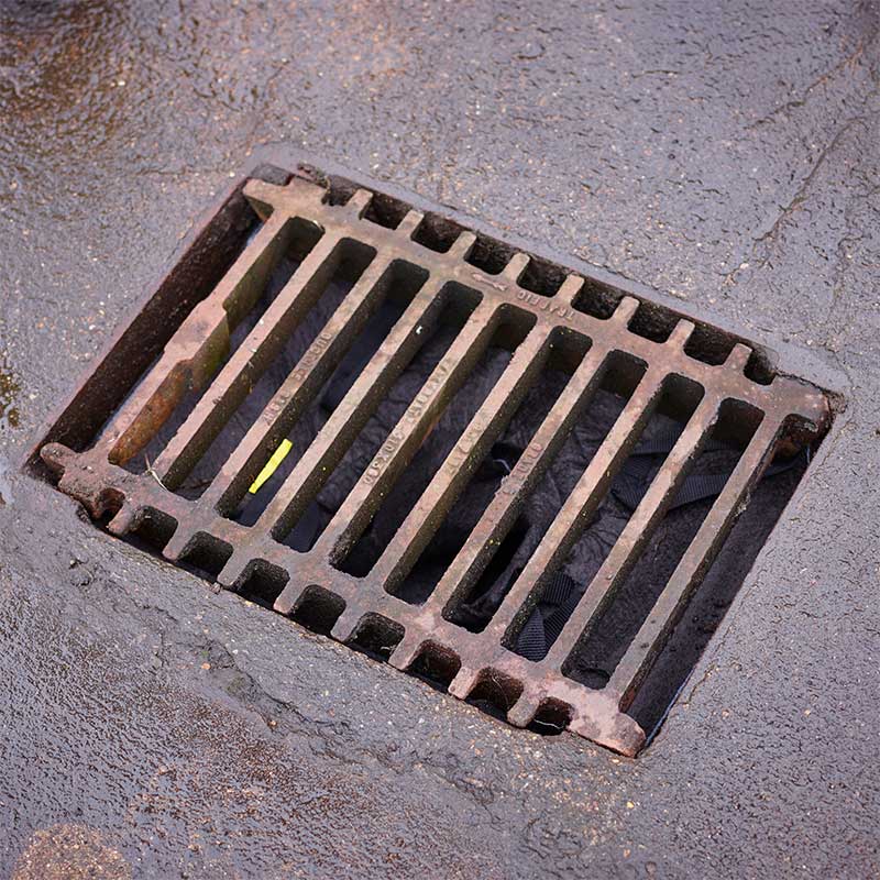 Drain Guard