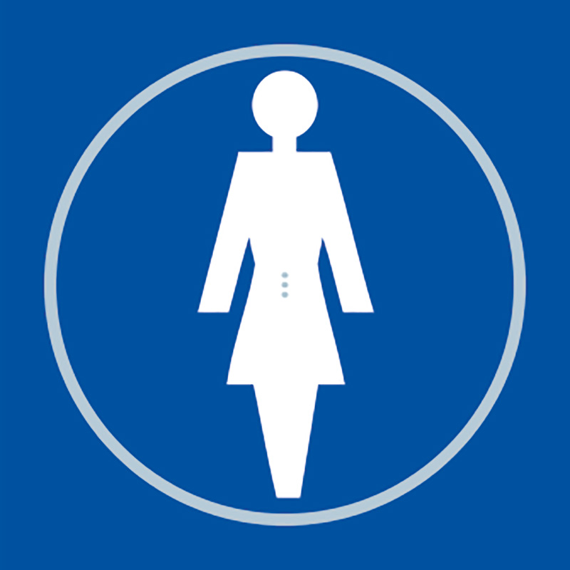 Ladies toilet blue taktlye braille sign