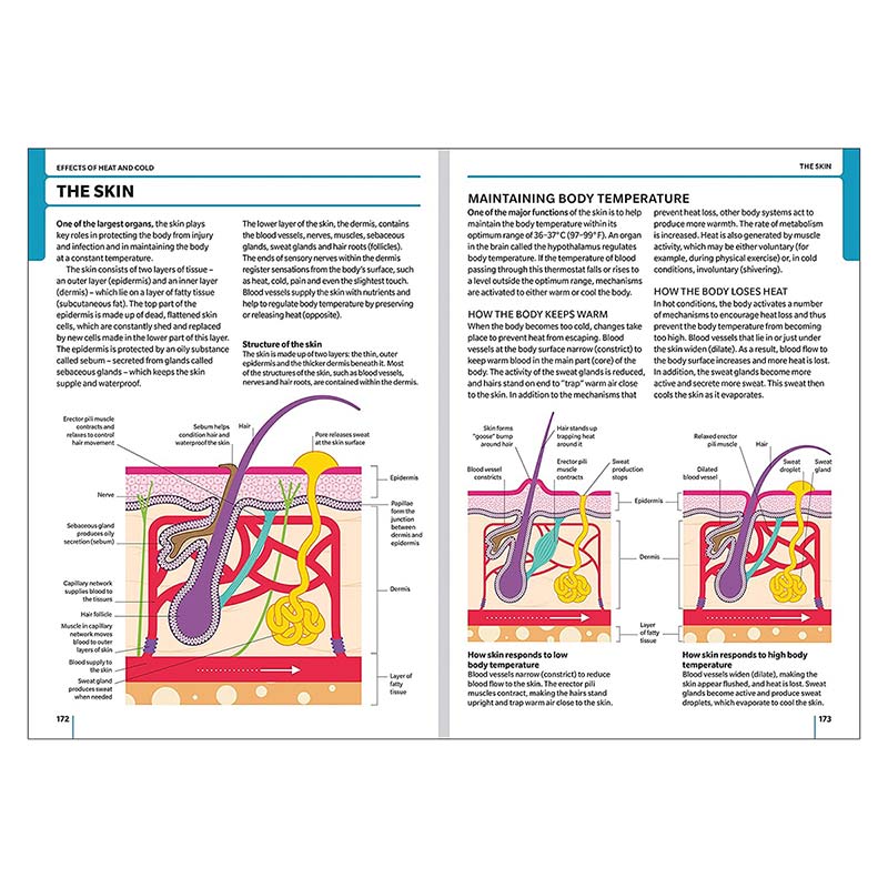 St John Ambulance First Aid Manual 11th Edition - the skin