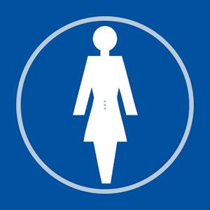 Ladies Toilet Blue Braille Sign with FAST UK Delivery