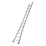 Professional Ladders with  Splayed Base  