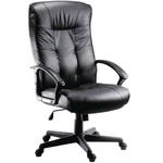 Executive High Back Leather Chair