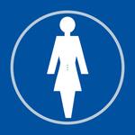 Ladies Toilet Blue Braille Sign 