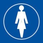 Ladies Toilet Blue Braille Sign with FAST UK Delivery