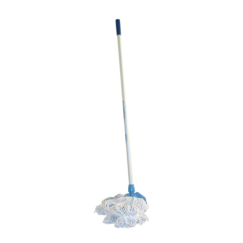 Mop with handle