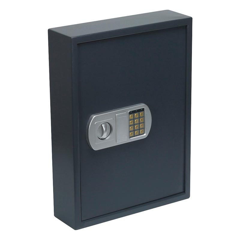 Heavy Duty Electronic Key Cabinet 100 Key Capacity